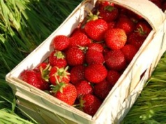 Zamiast posypywać cukrem, sięgnij po inny produkt. Za ten trik należy się medal
