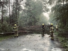 Nawałnica w powiecie kraśnickim. W akcji strażacy i żołnierze