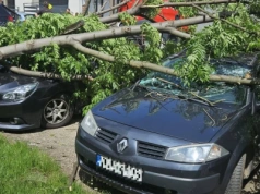 Szklarska Poręba - Drzewo spadło na zaparkowane samochody