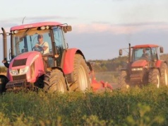 40% polis Agrocasco jest zawieranych w czerwcu. Na co zwracać uwagę decydując się na takie ubezpieczenie?