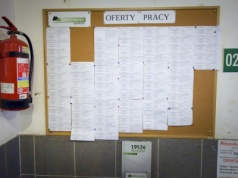 Szukają pracownika fizycznego do przyuczenia. Płacą ponad 10 tys. zł