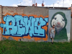 Graffiti zamiast wulgarnych napisów. Akcja straży miejskiej i artysty z Konstantynowa Łódzkiego