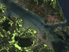 Świat w 2050 r. Ta mapa pokazuje, ile się zmieni