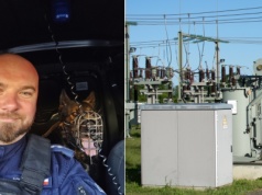 Był łakomy na miedź. Włamał się tam, gdzie napięcie może zabić. Wytropił go pies