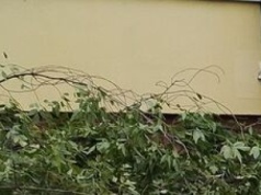 Burze w całym kraju, u nas powieje z siłą prawie huraganu