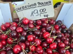 Sadownicy trzymają to w tajemnicy. Tak rozpoznasz robaczywe czereśnie