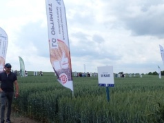 Dni Pola 2025 Chemirol — wiedza i technologia dla rolników