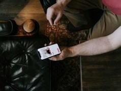 Turyści z USA są ostrzegani przed aplikacjami randkowymi w Meksyku. 