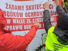 4300 hektarów zjedzone. Będzie pomoc dla rolników?