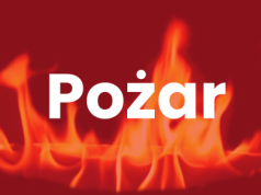 Pożar pod Wąbrzeźnem. Jedna osoba została poszkodowana