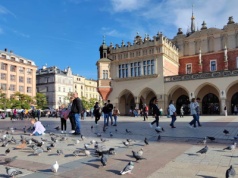 Tego jeszcze nie było! Na Rynku Głównym zorganizują prestiżowe i widowiskowe wydarzenie