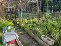 Działkowcy chcą większej swobody. Proces wyodrębnienia ogrodów może być nieodwracalny