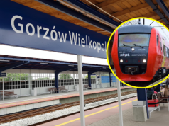 Znamy szczegóły połączeń InterCity z Gorzowa do Poznania. Są godziny i konkretne składy
