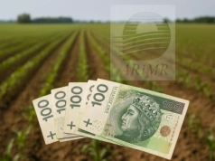 Dopłaty do materiału siewnego: bardziej opłaca się de minimis czy ekoschemat?