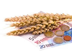 Matif: Cena pszenicy spadła poniżej poziomu 200 EUR/t