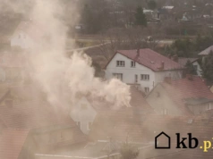 Masz problem z dymem z kominka? Winne może być to drewno
