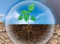 Biostymulator z opatetntowym składnikiem aktywnym od FMC Agro Polska