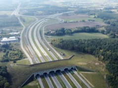 Przejścia nad drogami są blokowane, bo rząd walczy z ASF. A wilki, dziki i łosie giną pod kołami