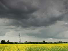 Jaka będzie pogoda w Łodzi? Sprawdź prognozę na dziś, 12 czerwca 2025 r. Deszcz czy słońce?