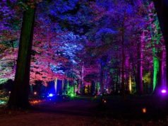 Park w Olsztynie zamieni się w magiczną krainę świateł