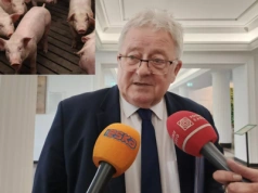 W Polsce dramatycznie ubywa świń. Co na to minister Czesław Siekierski?