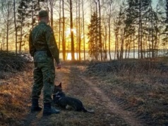 Nielegalna migracja z Białorusi spada. Wiceminister: ‘Wkrótce zniknie całkiem’