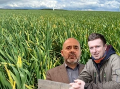 Rzepak zniszczony, firmy liczą po swojemu. Rolnicy przechodzą do działania [WIDEO]