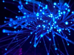 Duża awaria w Internecie. Google, Amazon i inne portale z problemami