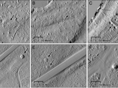 Technologia LiDAR ujawniła zaskakujące podziemne wzory. Powstały dawno temu