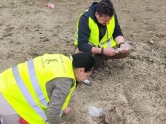 Sensacyjne znalezisko na budowie drogi ekspresowej. To słoń leśny albo mamut