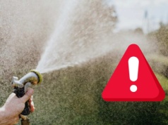 Zakaz podlewania trawników w Niemczech: Cios dla właścicieli ogrodów. Kary do 50 000 euro za złamanie zakazu