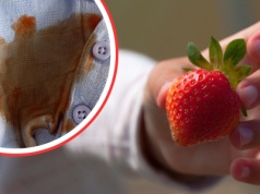 Dziecko poplamiło białą bluzkę truskawkami? Nie panikuj, biegnij do kuchni. Tak uratujesz ubranie