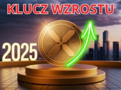 Każdy kto posiada XRP powinien to wiedzieć, ujawnia ekspert kryptowaluty