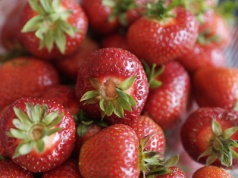 Polska drugim producentem truskawek w Unii Europejskiej