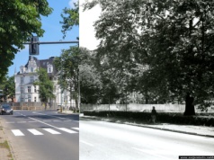 Świdnica wczoraj i dziś. Ulica Żeromskiego