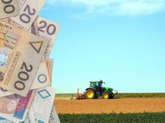 Ceny ziemi 2025: ile kosztuje hektar gruntów rolnych IIIb i IV klasy?
