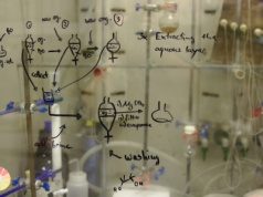 Przyszłość chemii pisana przez grzyby. Polski enzym MapADO przełamuje schematy
