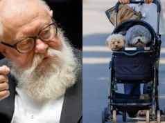 Kogo uratujesz: psa czy dziecko? Ludzie oburzeni: Zwierzę to członek rodziny. Prof. Bralczyk komentuje