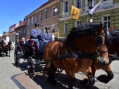 Gdy konie opowiadają historię, czyli 140 lat Stada Ogierów w Gnieźnie
