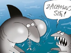 Rekiny dzielą się posiłkiem