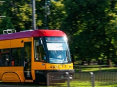 Drzewo spadło na tramwaj. Służby na miejscu
