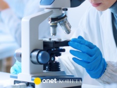 Wielkie pieniądze dla naukowców. Wśród wybranych czworo badaczy z Polski