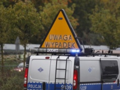 Zderzenie z sarną. Kierowca trafił do szpitala