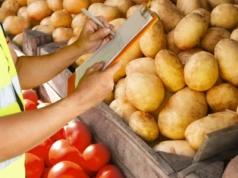 Rumuńskie ziemniaki bez dokumentów zalewają polski rynek – ruszyły kontrole
