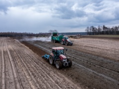 Dzierżawa ziemi rolnej z KOWR – rekordowe przetargi w 2024 roku