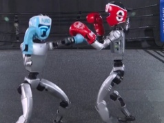Chiny organizują walki robotów humanoidalnych. Biją się na ringu