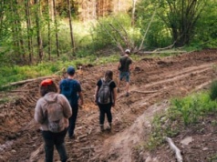 Spór o Bieszczady. Zapytaliśmy Lasy Państwowe o plany wycinki starych i cennych drzewostanów