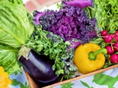 Hurtownie warzyw – fundament zaopatrzenia gastronomii i handlu