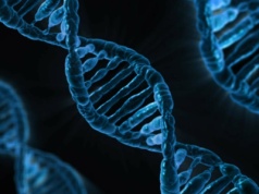 Od lipca refundacja badań genetycznych w trybie ambulatoryjnym w nowotworach BRCA-zależnych