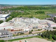 Produkcja frytek dla McDonalds - potencjał dla producentów ziemniaków